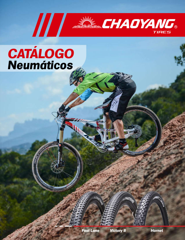 Llantas CHAOYANG Bicicleta